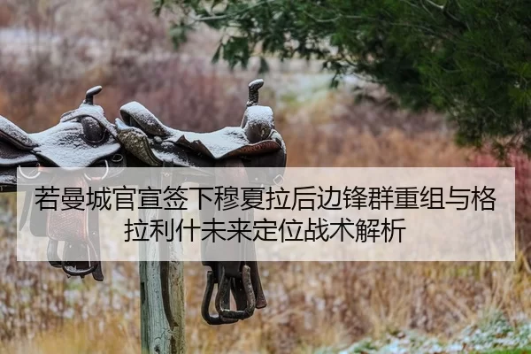 ruo-man-cheng-guan-xuan-qian-xia-mu-xia-la-hou-bian-feng-qun-chong-zu-yu-ge-la-li-shen-wei-lai-ding-wei-zhan-shu-jie-xi-2-684.jpg