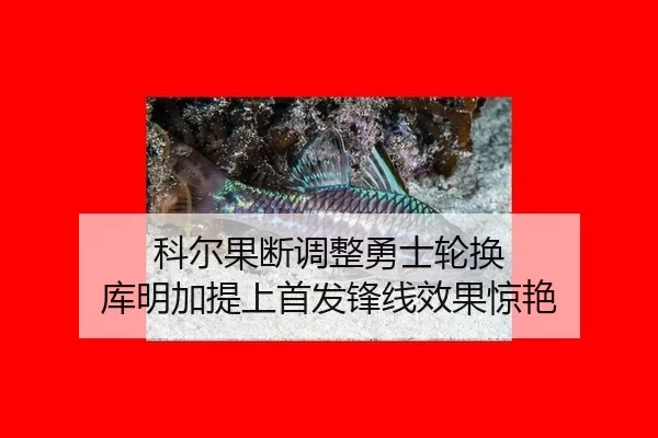 ke-er-guo-duan-tiao-zheng-yong-shi-lun-huan-ku-ming-jia-ti-shang-shou-fa-feng-xian-xiao-guo-jing-yan-2-478.jpg